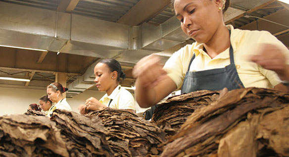 workers_in_the_cigar_factory